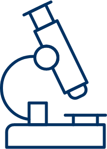 Solubility screening and optimization.